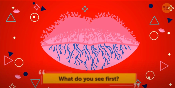 Observe What You See First In An Optical Illusion To Find Out Whether You