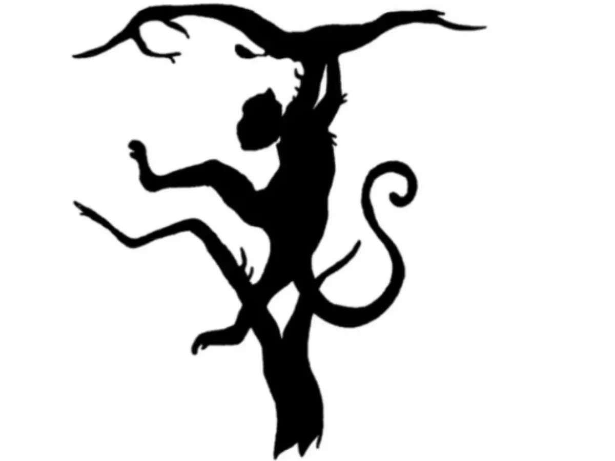 Optical Illusion monkey lion Optical Illusion monkey lion