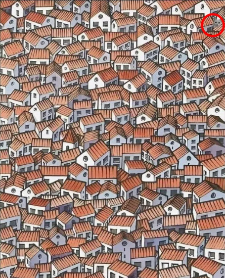 Quickly Spot The Sneaky Cat Hiding In The Houses With Optical Illusion