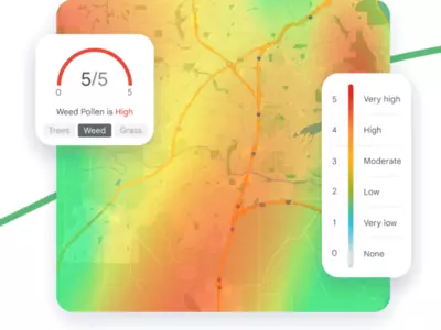 Google's New Pollen Mapping Tool Aims To Alleviate The Misery Of Allergy Seasons