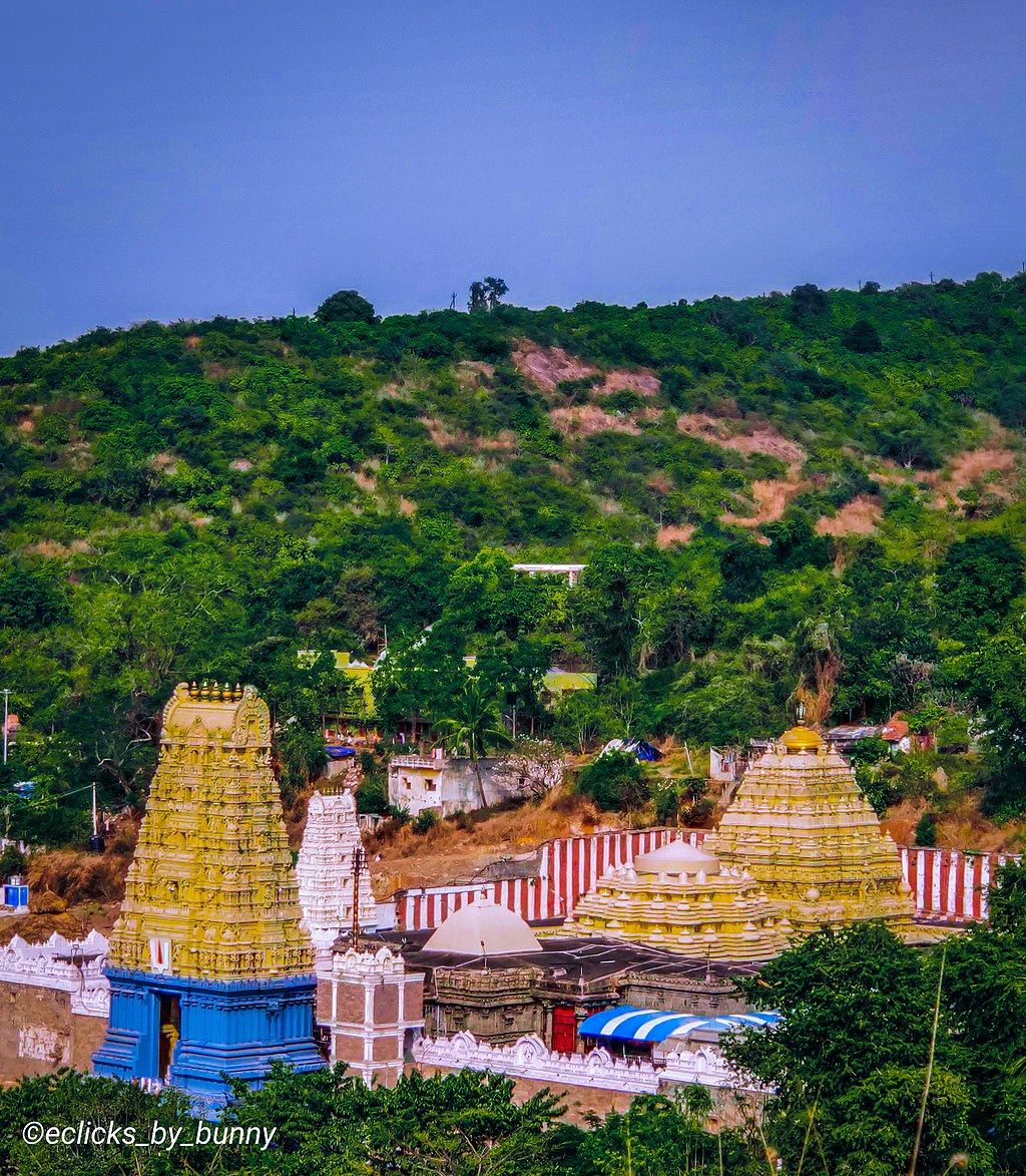     Devotee Makes Rs 100 Crore Donation To Andhra Pradesh Temple