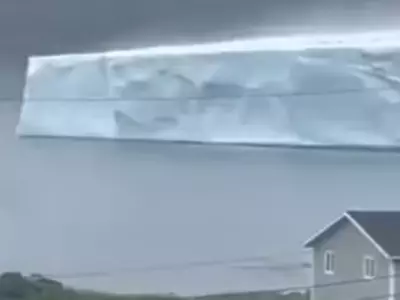 The Giant Iceberg That's Approaching The Canadian Island Of Newfoundland Stuns Netizens