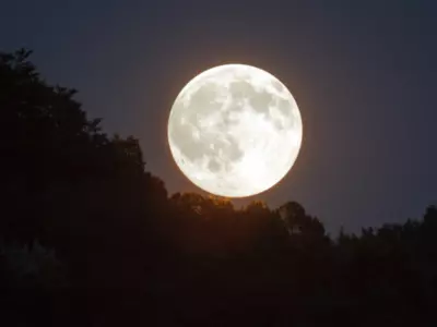 The Super Blue Moon Will Be Visible Next Week
