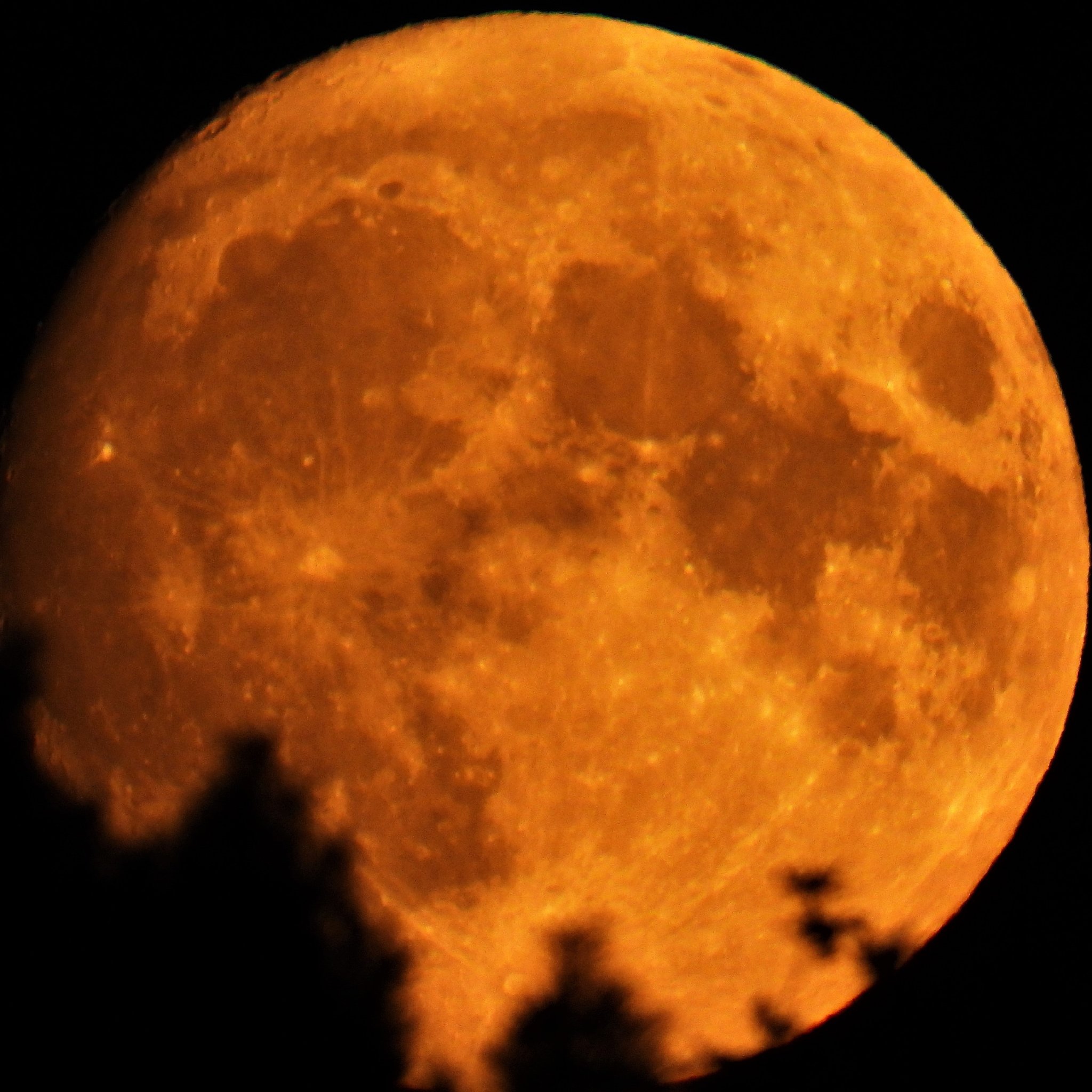 The super blue moon will be visible next week