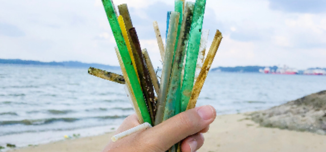 Study Paper Straws More Toxic Than Plastic