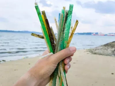 There Are More 'Forever Chemicals' In Paper Straws Than In Plastic Ones, According To A New Study