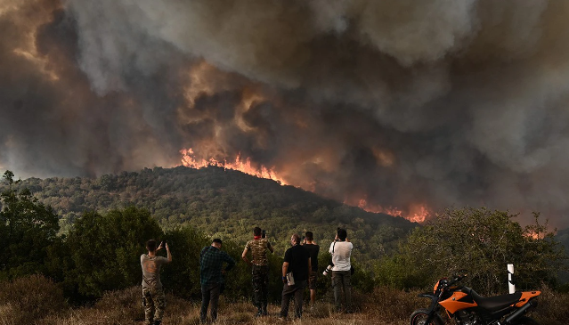 There Is A Wildfire In Greece That Destroyed An Area Larger Than The City Of New York
