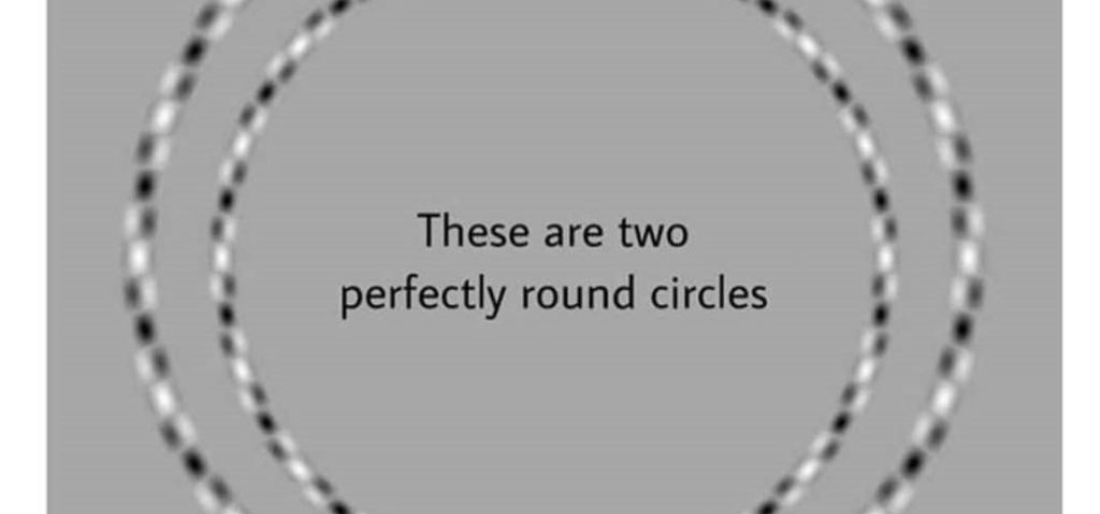 Count The Circles In This Optical Illusion