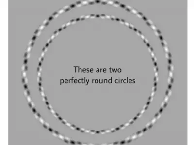 Try This Optical Illusion To See How Many Circles You Can Count!