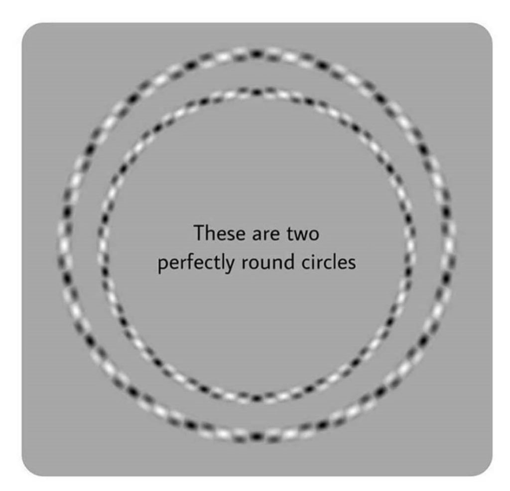 Try This Optical Illusion To See How Many Circles You Can Count!