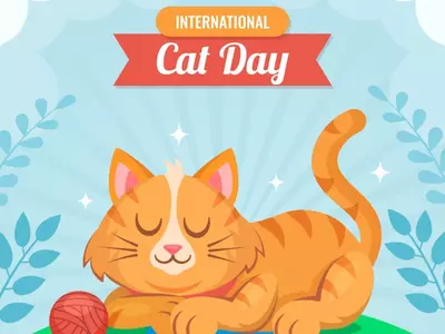 International Cat Day 2023
