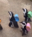 Watch This Heartwarming Video Of Penguins Carrying Backpacks