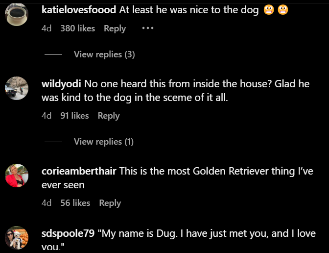 comments dog 