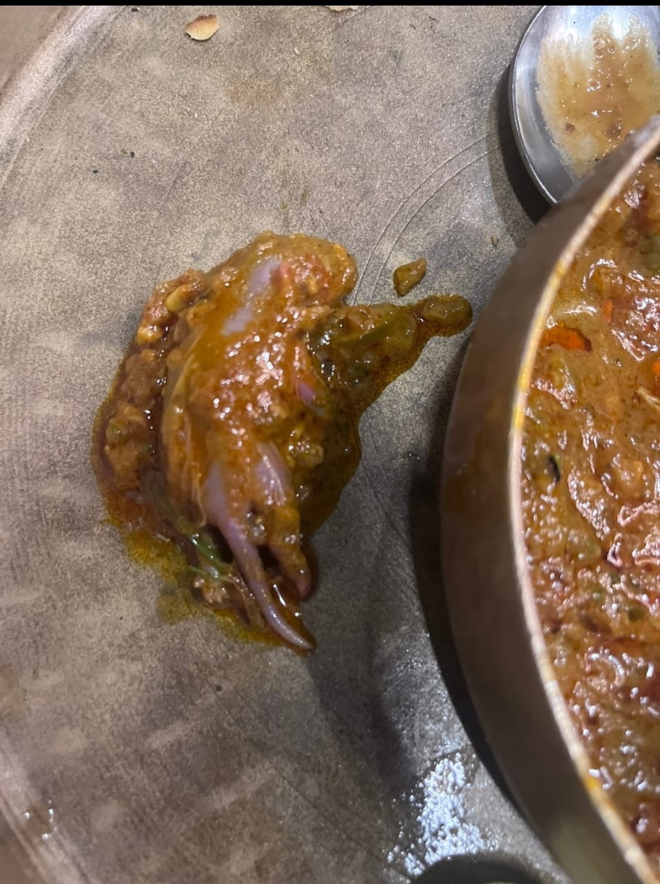 Man Finds Baby Rat In Chicken Dish At Famous Mumbai Restaurant, Manager