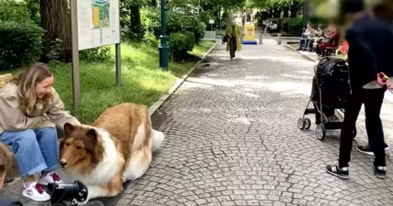 He's fur real: Meet Toco, the man going viral for his first walk as 'human  dog