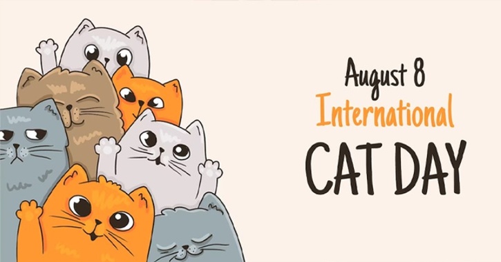 International Cat Day 2023 Celebrated On August 8th, Know Everything ...