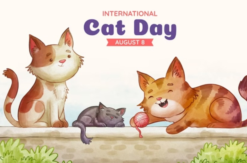 Happy #InternationalCatDay 😻 Day 1 for August