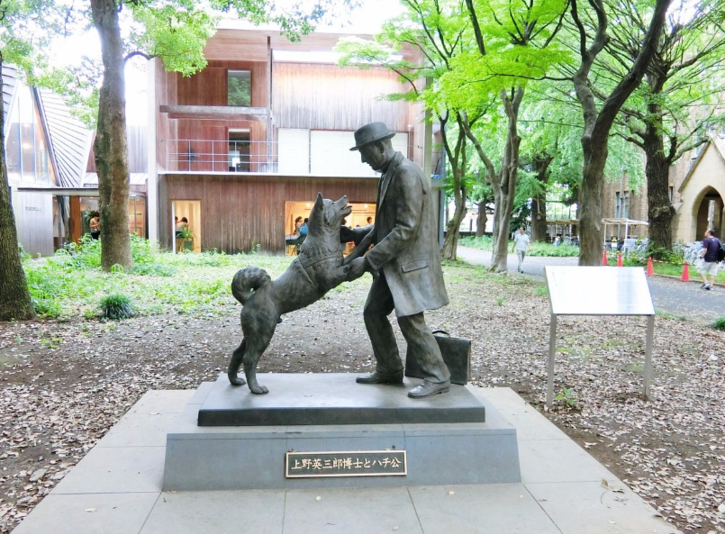 Hachiko वो वफादार कुत्ता जो दस साल तक रेलवे स्टेशन के बाहर अपने मालिक