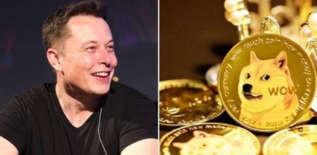 Elon Musk & His Mother's Tweets On Dog & Dogecoin Set The Crypto Token's Price On A Rollercoaster