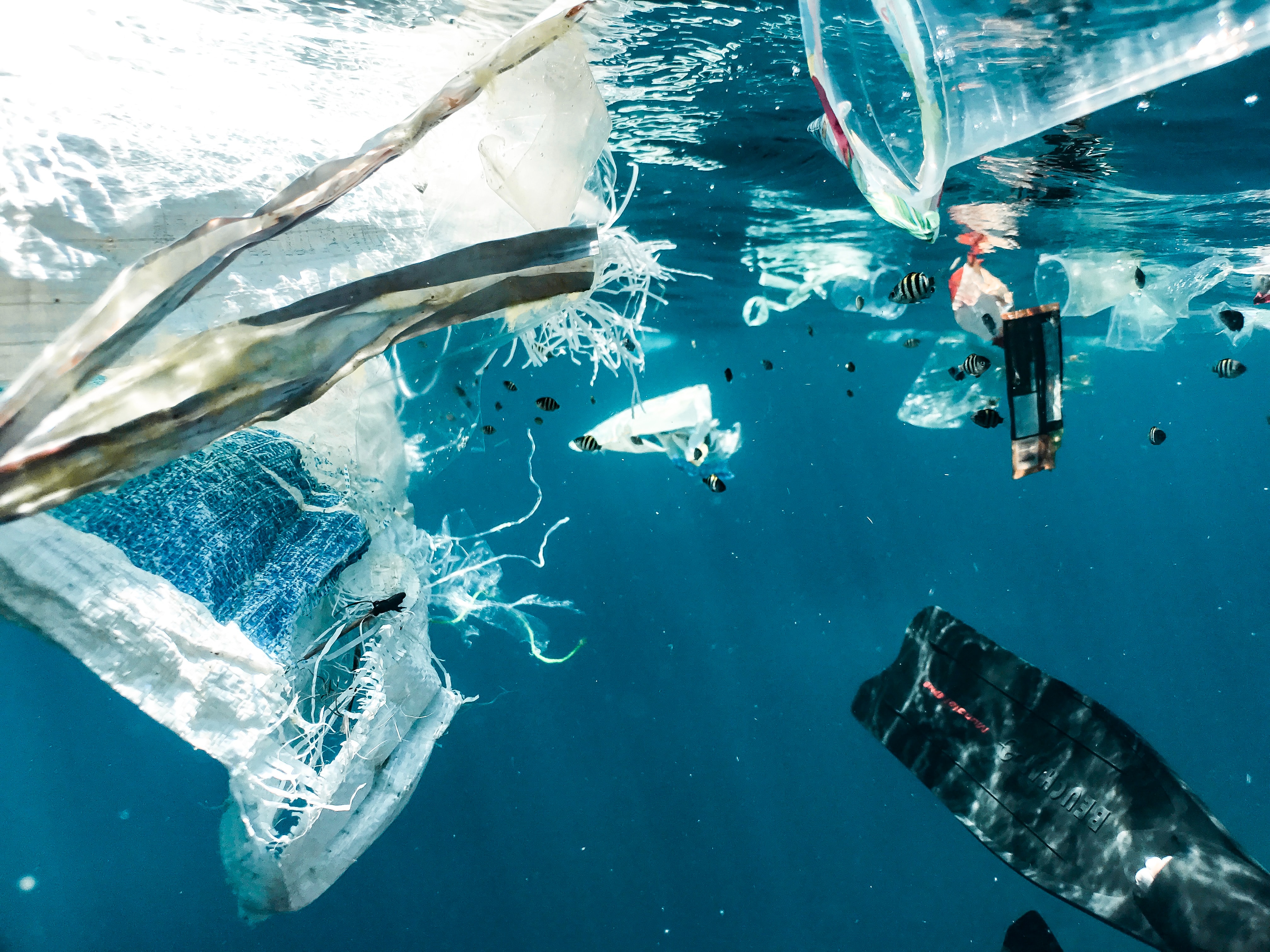 Ученые открыли океан. Пластик в океане. Загрязнение океана.