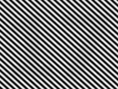 optical illusion17