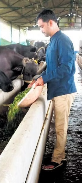 software professional leaves job stars dairy farming earns three lakhs per month