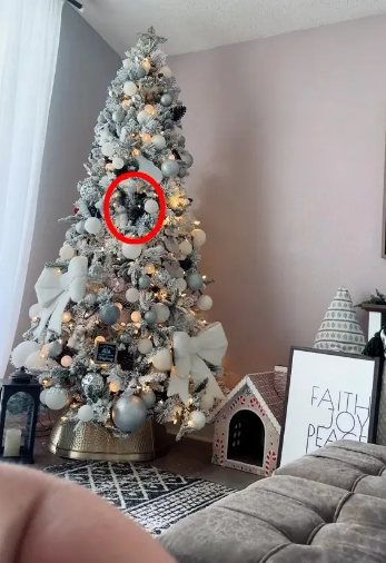 Find the Cat in the Christmas Tree Before the Bauble Falls Festival Optical Illusion