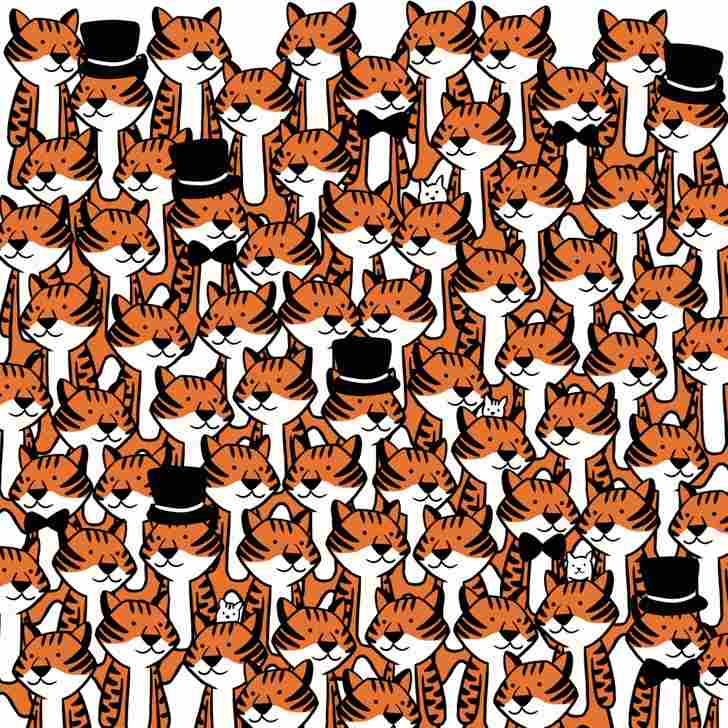 Optical Illusion IQ Test Find The Hidden Cats
