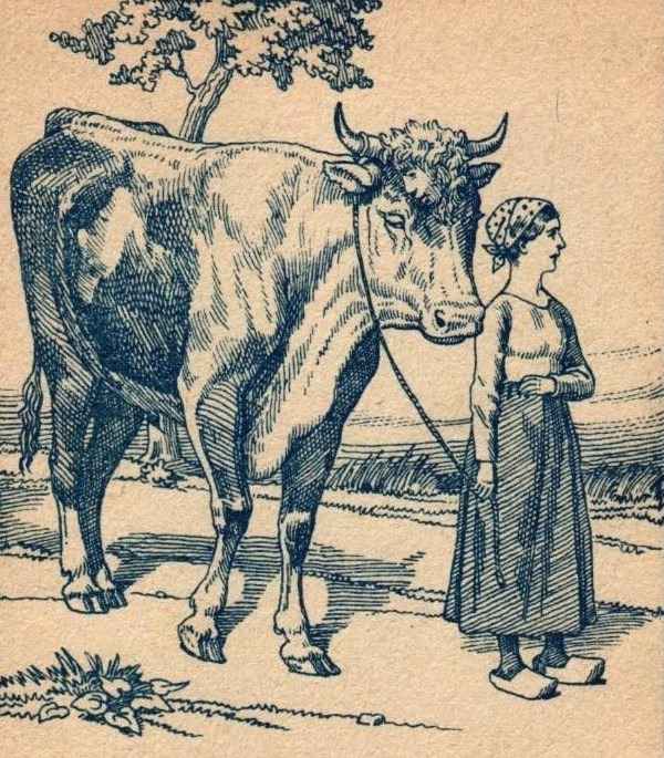 Spot two hidden sons of lady