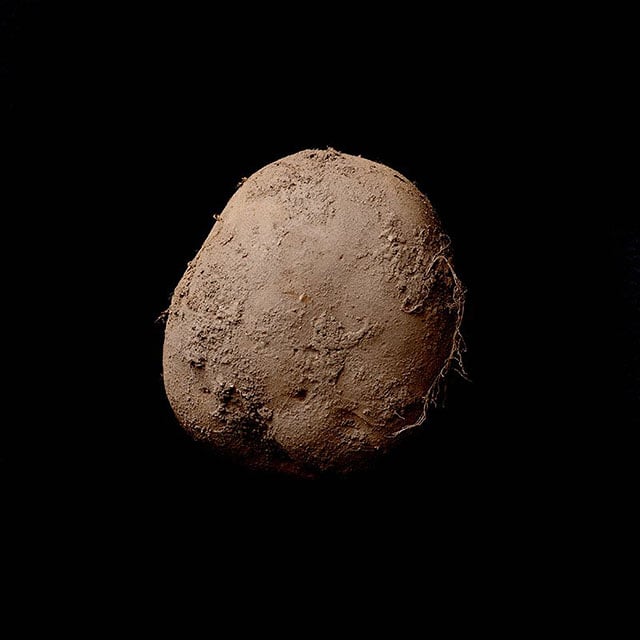 Kevin Abosch Potato Portrait 