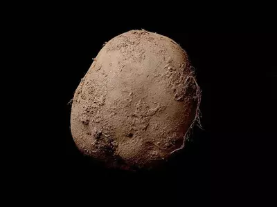 why this photo of a potato was sold over 8 crores