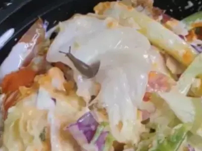 Live Snail In Swiggy Salad Delivery
