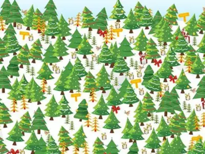 See If You Can Spot The Star Underneath The Christmas Tree Optical Illusion