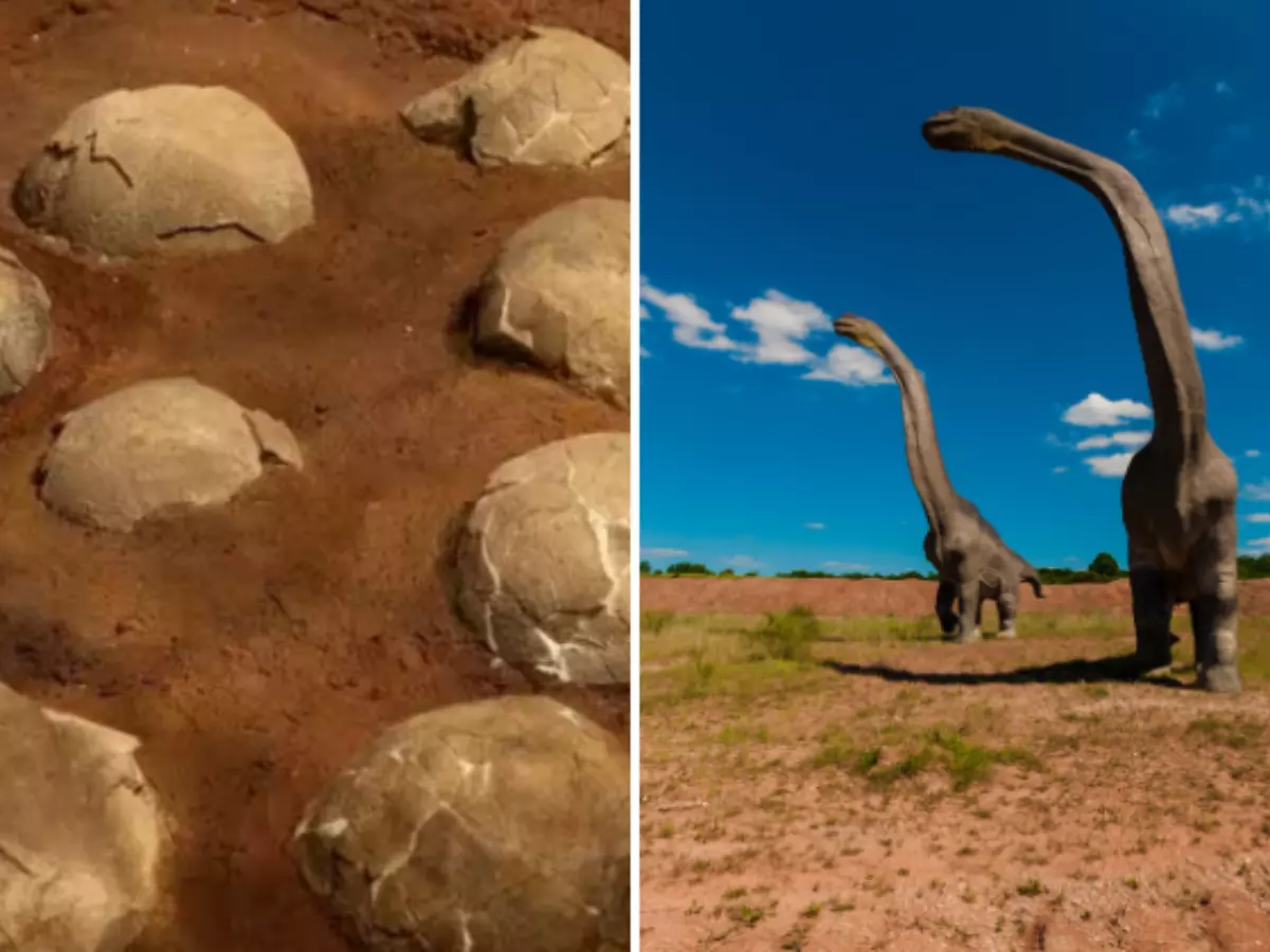 This Family's Sacred Totem, Kuldevta, Is Actually A Dinosaur Egg Found In Madhya Pradesh