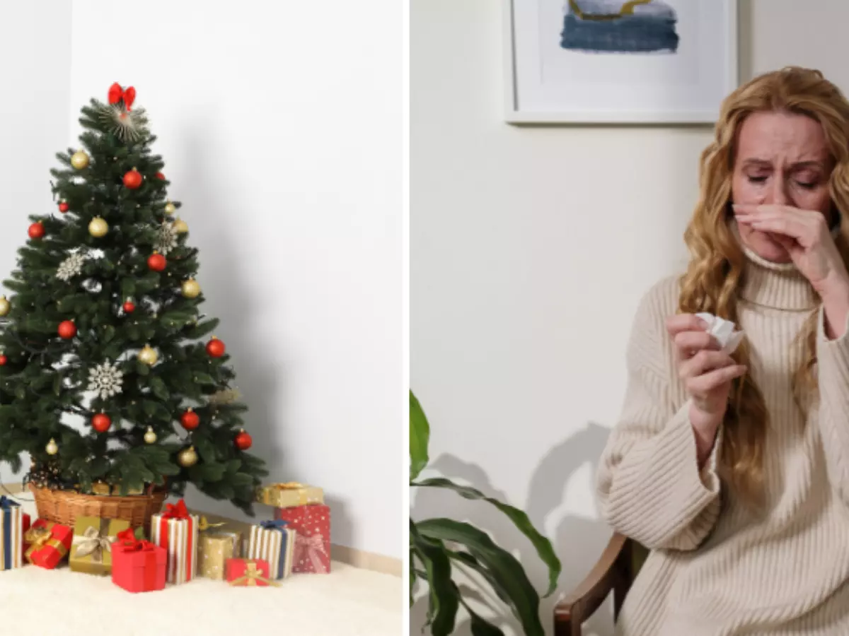 Symptoms Of 'Christmas Tree Syndrome' When You're Allergic To Decorations Allergic To Christmas Tree