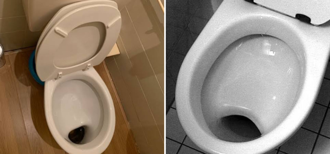 Decoding German Toilet Seat Designs