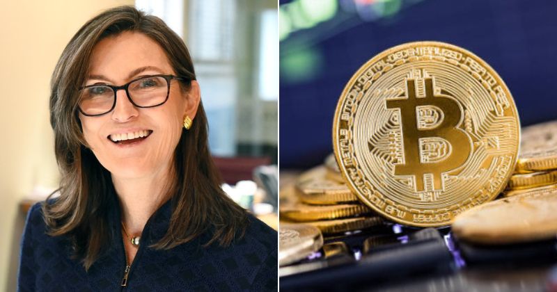 Meet Cathie Wood: US Based CEO Who Believes Bitcoin Price Will Hit $1.5 ...