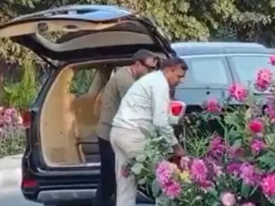 Kia Owner Steals G20 Flower Pots 
