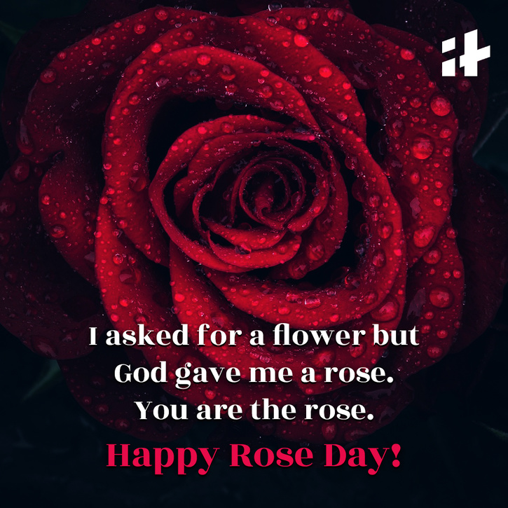 Happy Rose Day 2023 Wishes Messages Sms Quotes Images And Whatsapp