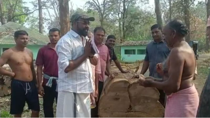 114-Year-Old Tree Auctioned For Rs 40 Lakh