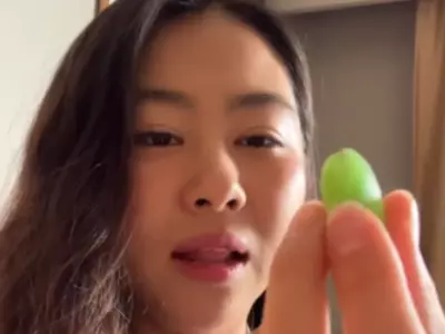 Korean Blogger Tries Indian Candy 'Pulse'
