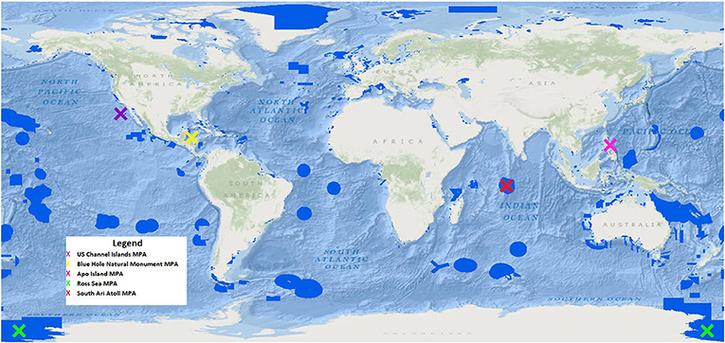 what-are-marine-protected-areas-and-why-are-they-crucial-for-conserving