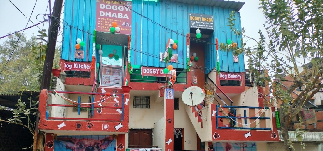 indore-couple-opens-doggy-dhaba