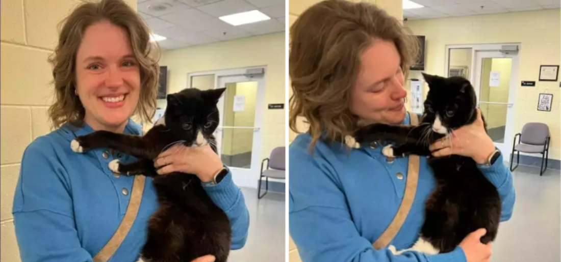 Woman Reunited With Lost Cat After 9 Years