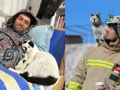Man Rescued cat