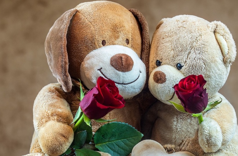 teddy day in valentine week