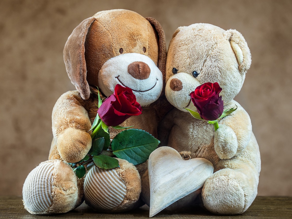 Teddy day rose day on sale