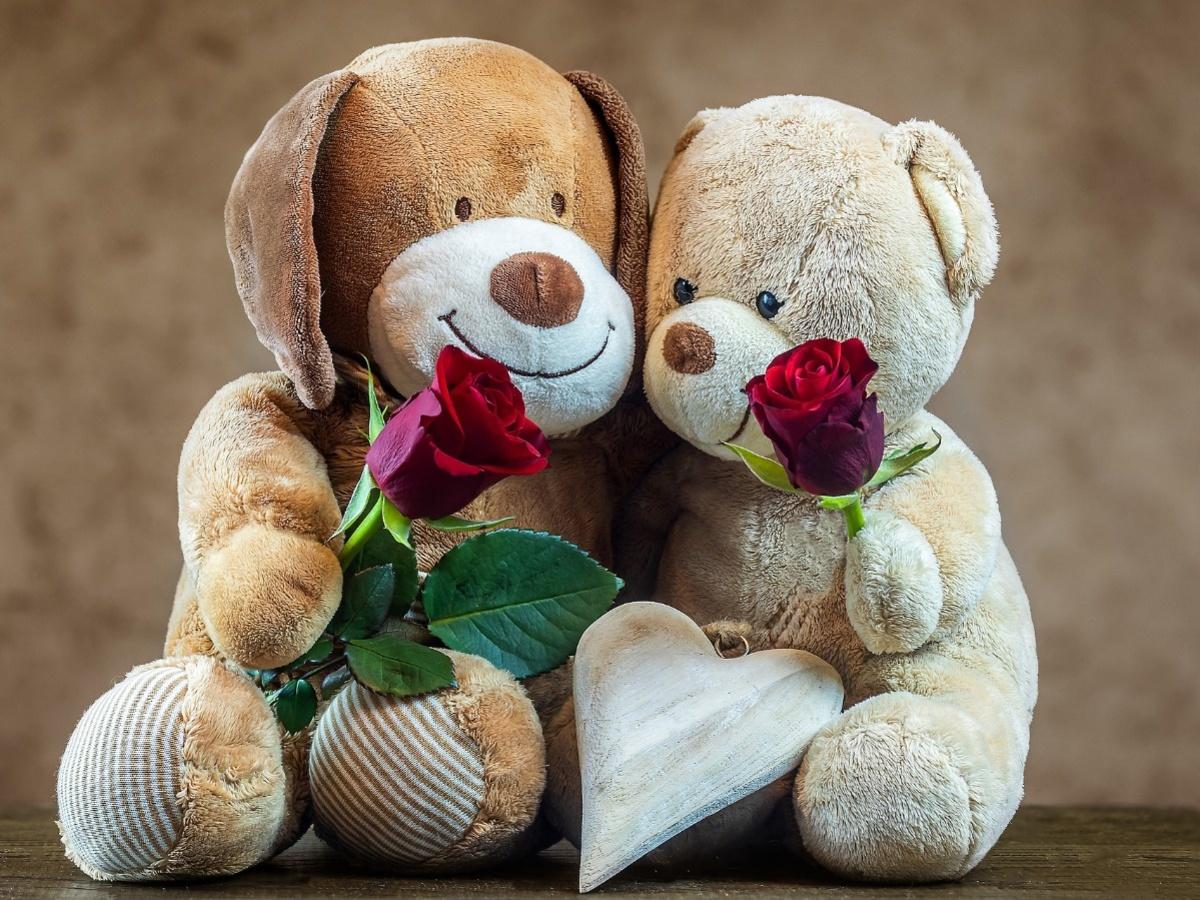 Happy Teddy Day 2023: Wishes, Messages, SMS, Quotes, Images ...