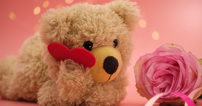 SAFRI Red Rose Teddy Bear Gift GF BF Girlfriend Boyfriend Husband Wife  Anniversary Birthday Xmas Christmas valentine's day Present – BigaMart