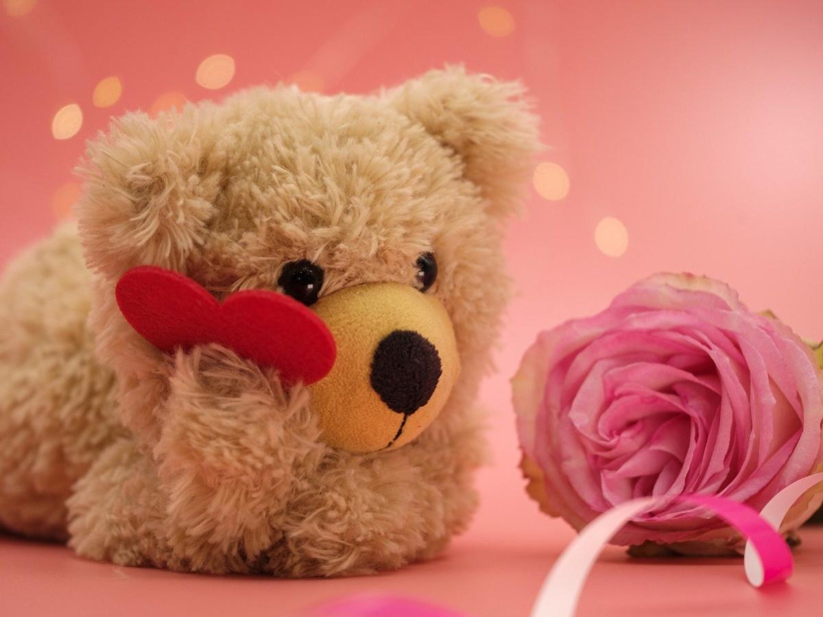 50+ Happy Teddy Day Wishes 2023, Quotes, Images & WhatsApp Status For Your  Beloved Partner